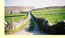  Stone walls on Clear Island, County Cork  