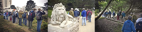  A guided birding walk / field trip along Merrie Way  