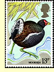  Moorhen on UK postage stamp  