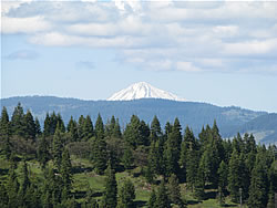  Mt. McLaughlin view.  Photo by Harry Fuller. 