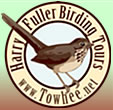  Harry Fuller Birding Tours  