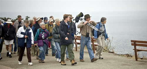  Harry Fuller leading a birding walk at Land's End, San Francisco. Photo by Godwin Woon  